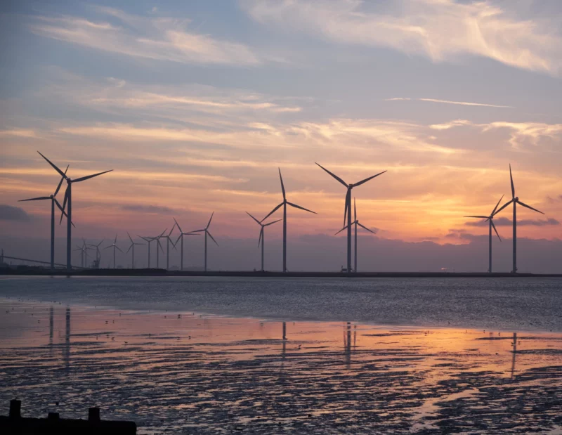 Windmills at sunset